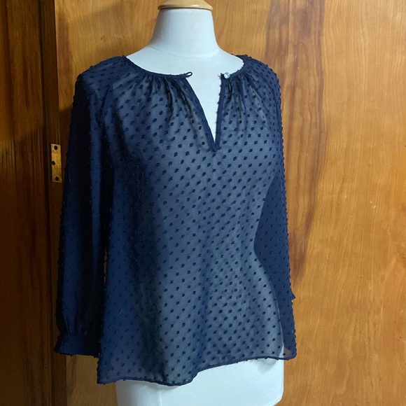 J. Crew Sheer Swiss Dot Tunic Navy Blue - Picture 1 of 5